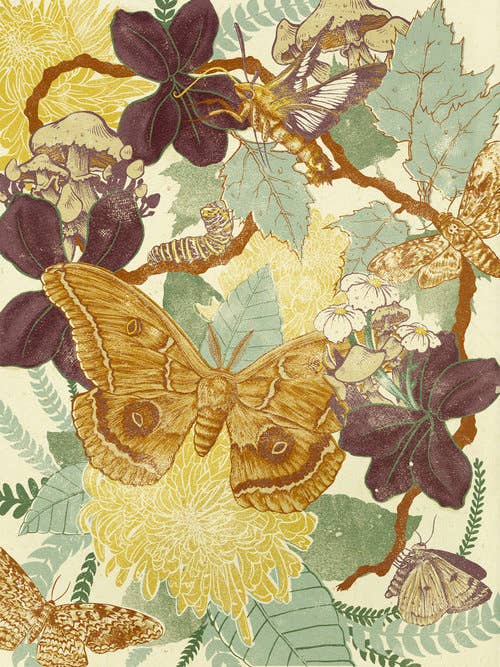 Moth Giclee Print 11x14" - Image 1