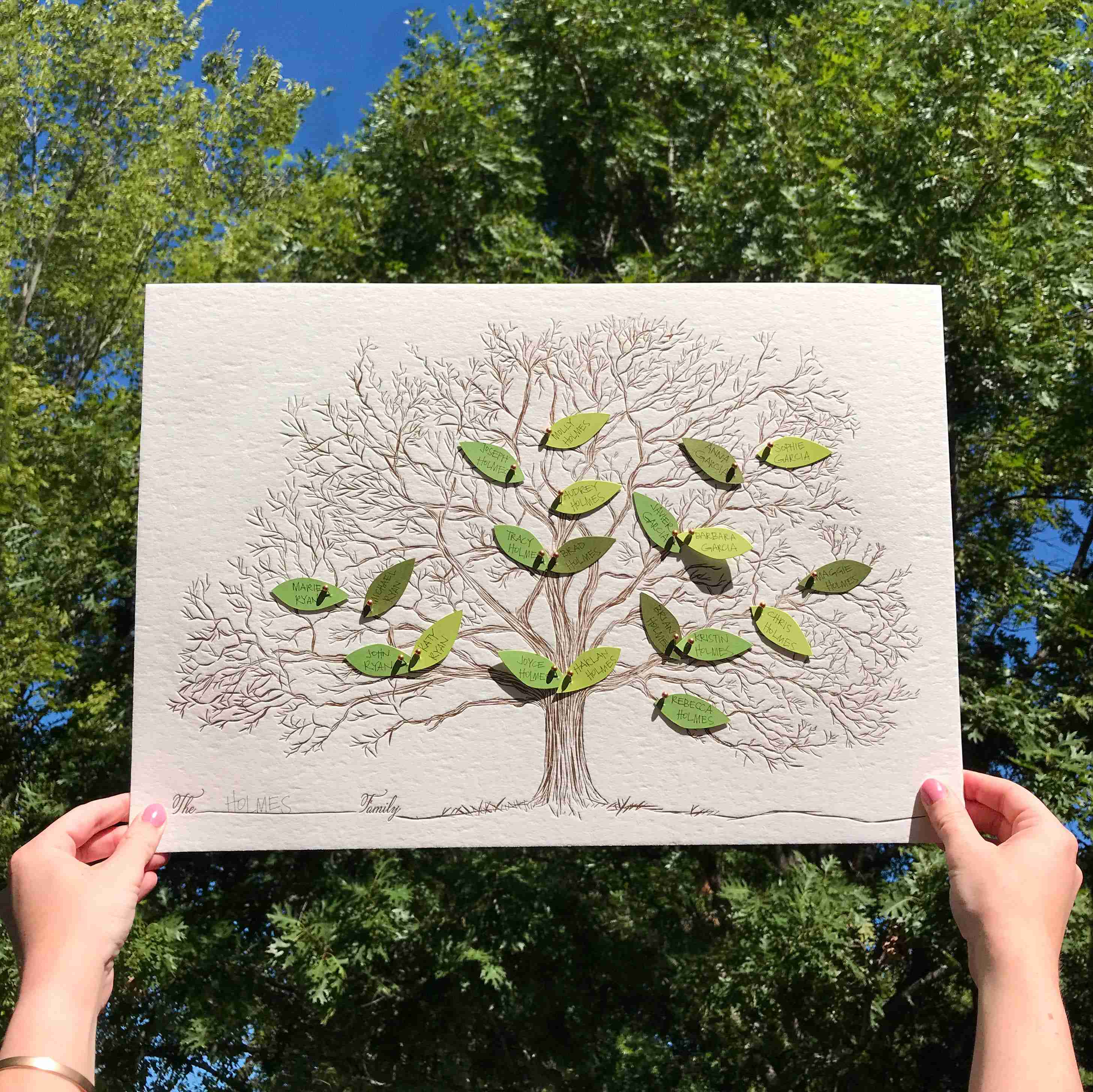 Family Tree
