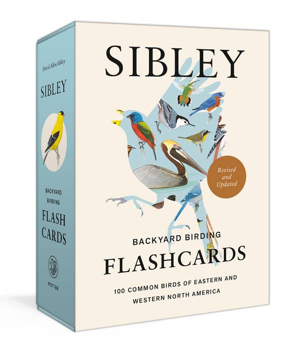 Sibley Backyard Birding Flashcards - Image 1