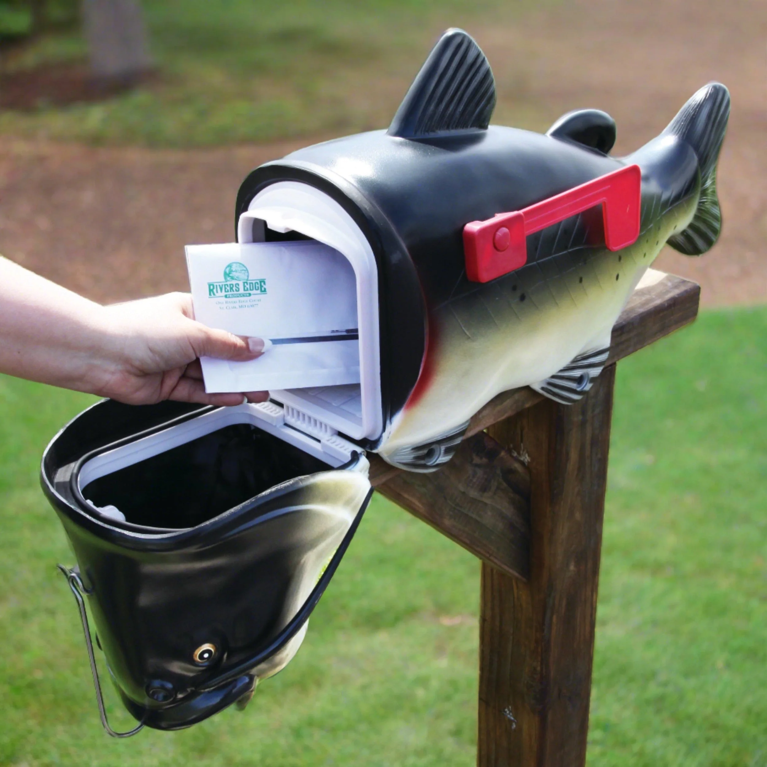 Mailbox-Catfish - Image 2