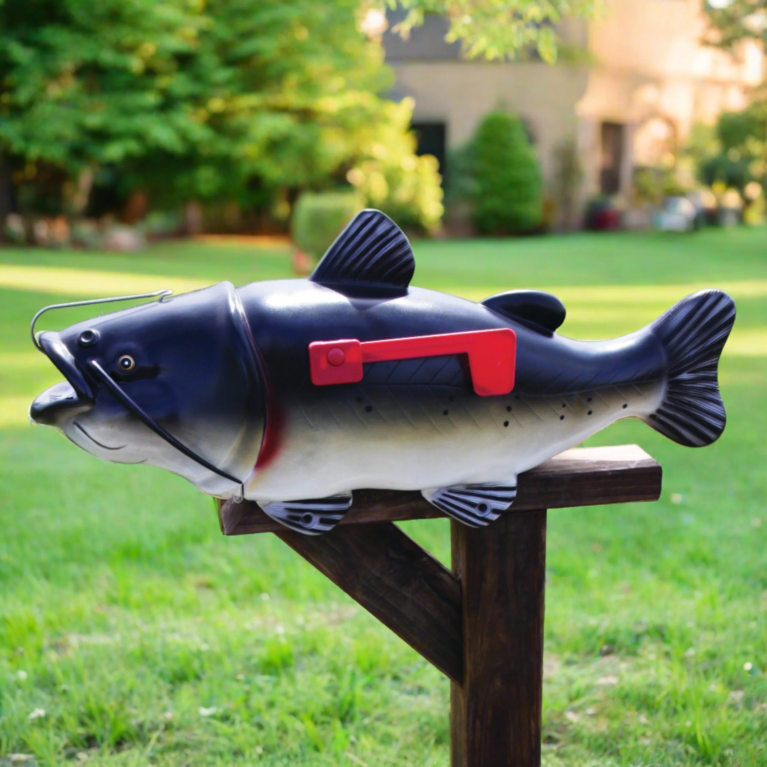 Mailbox-Catfish - Image 1