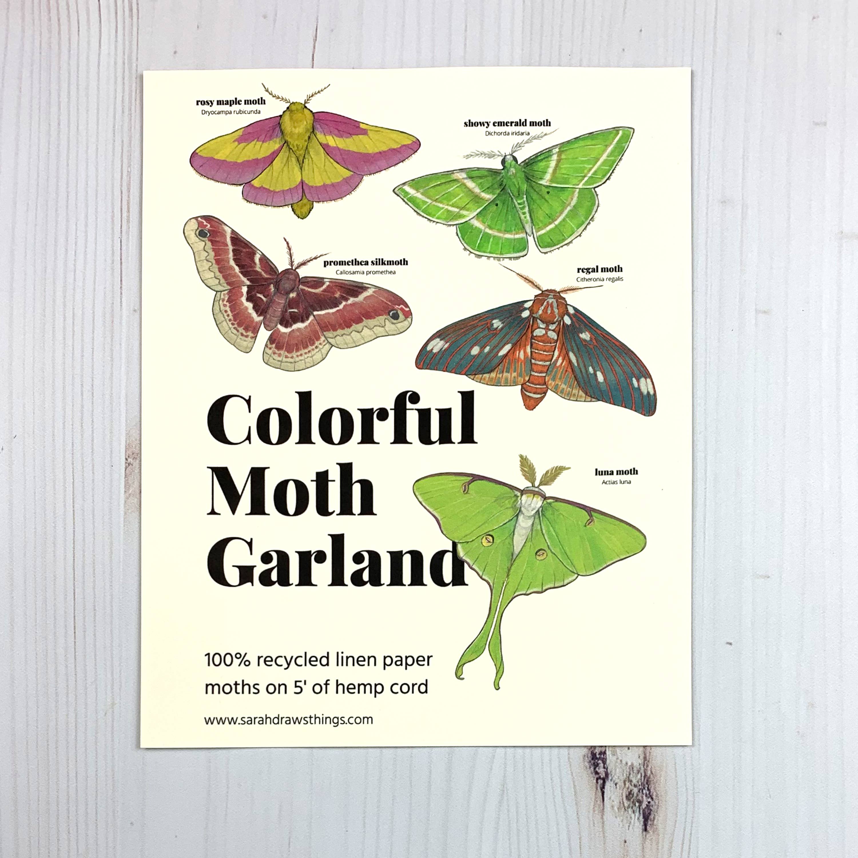Colorful Moth Illustrated Garland - Image 3