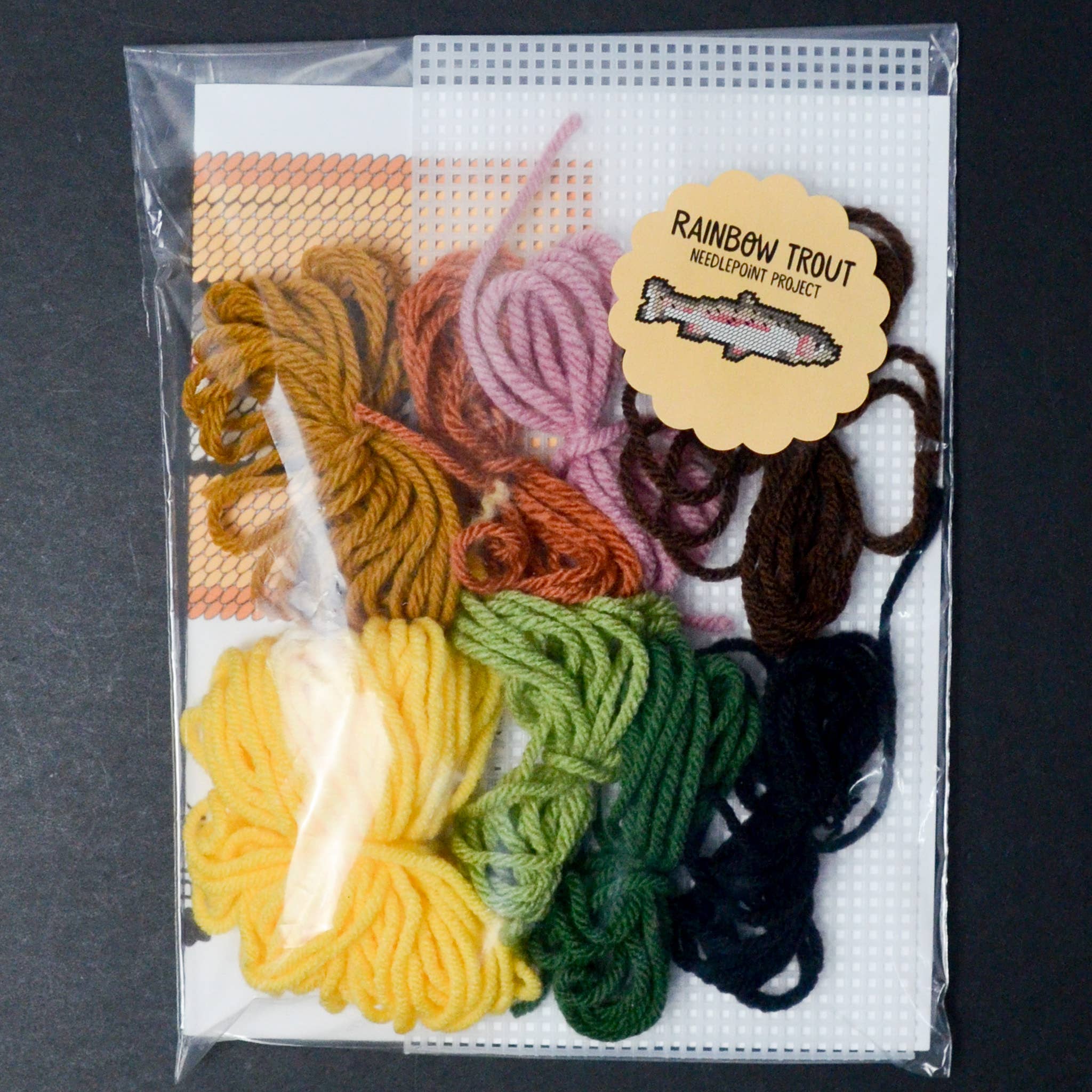 Rainbow Trout Needlepoint Kit - Image 3
