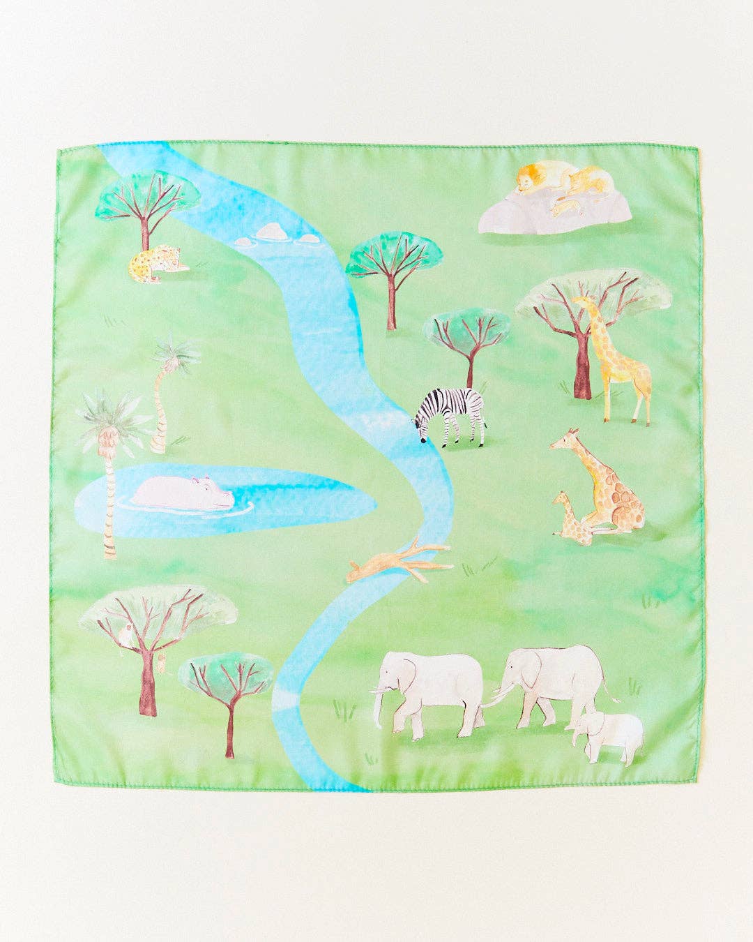 Safari Playmap - Activity Playmap Featuring Safari Animals - Image 1