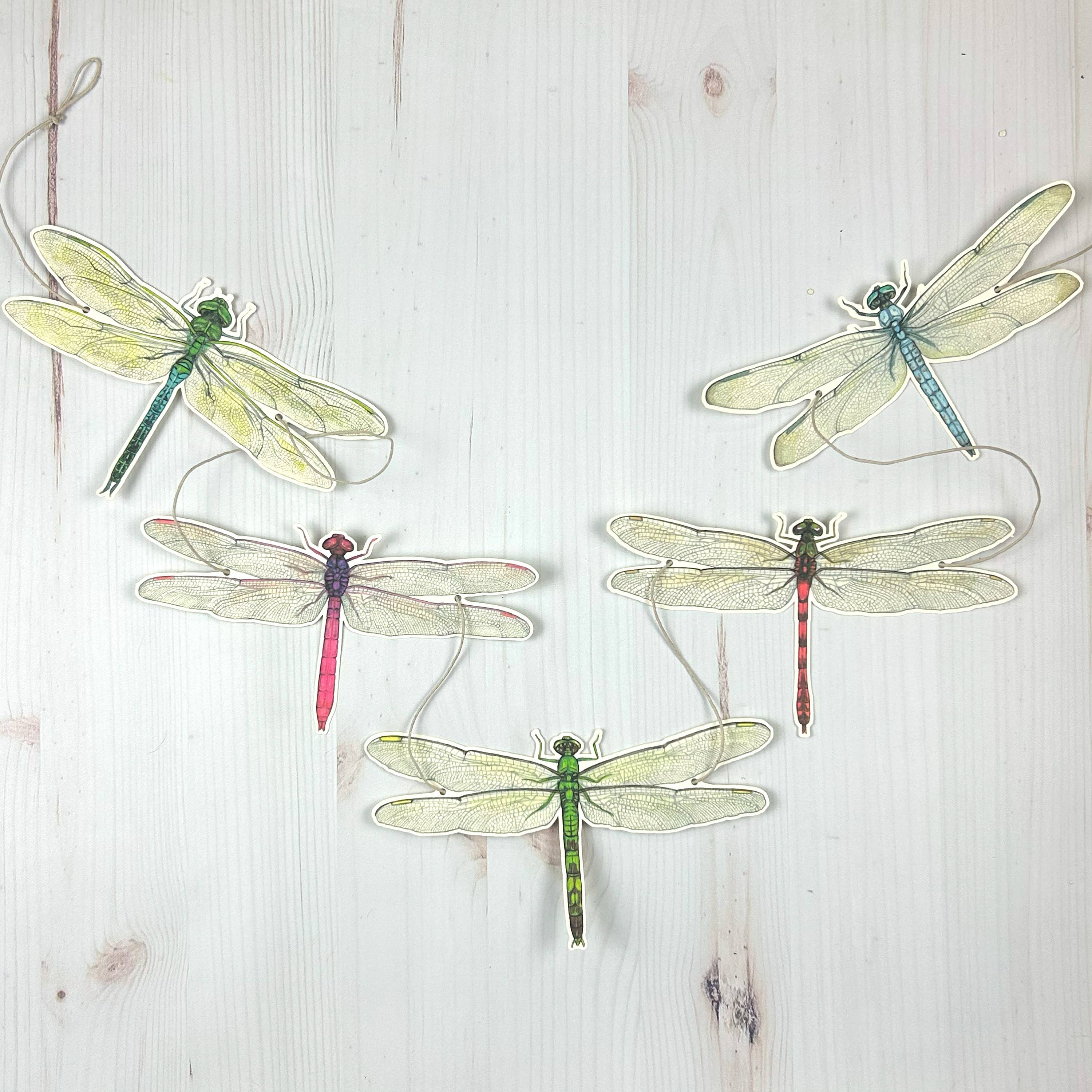 Dragonfly Illustrated Garland - Image 2