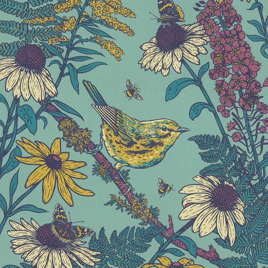 Prairie Warbler 11x14" Giclee Print - Image 2