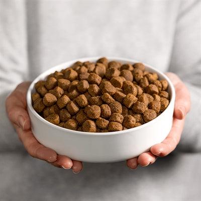 Smølke Adult Grain-Free Dog Food - For active dogs of all breeds - 12 kg - Image 2