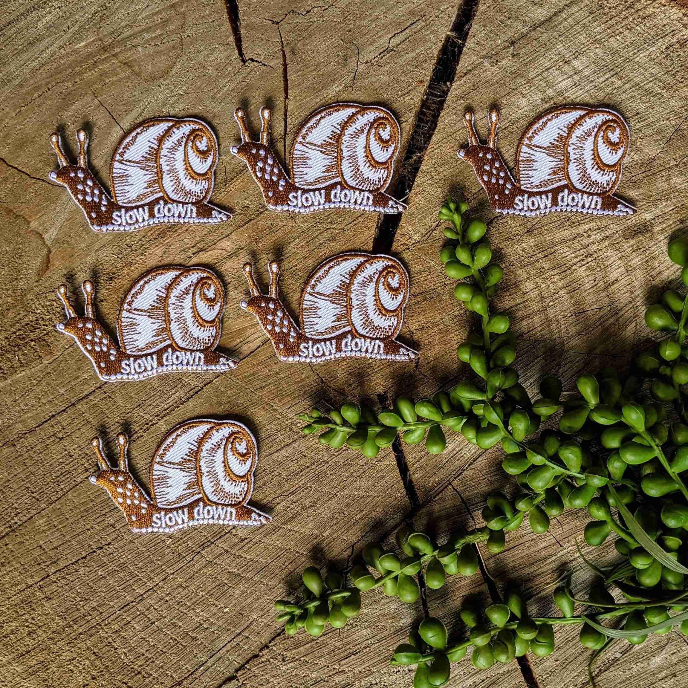 Patch | slow down snail - Image 3