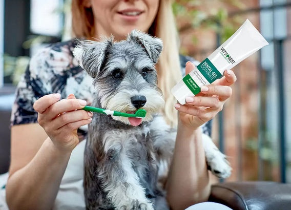 Vet's Best Dental żel + szczoteczka zestaw Adult - Image 2