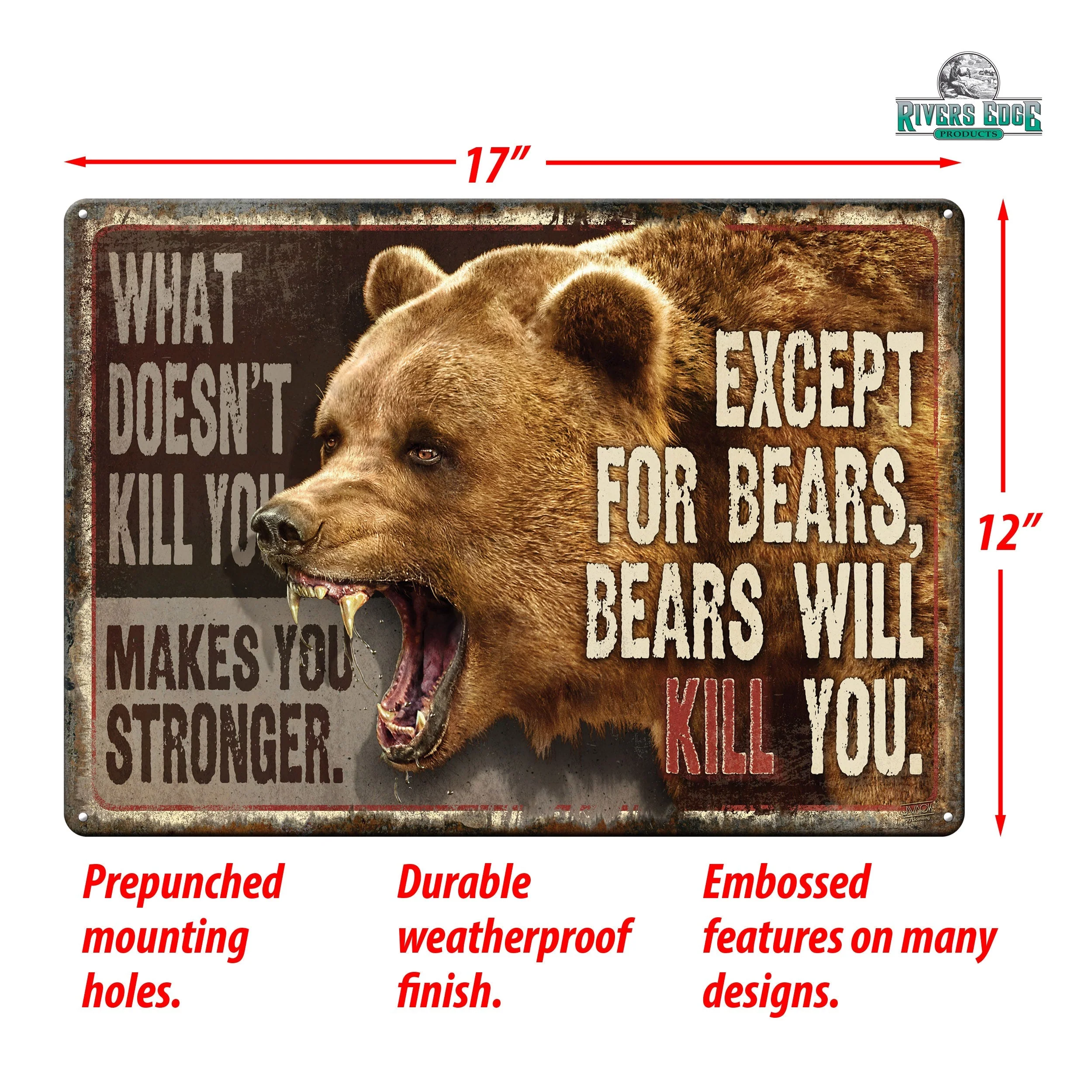 Tin Sign 12in x 17in-What Doesnt Kill You - Image 2