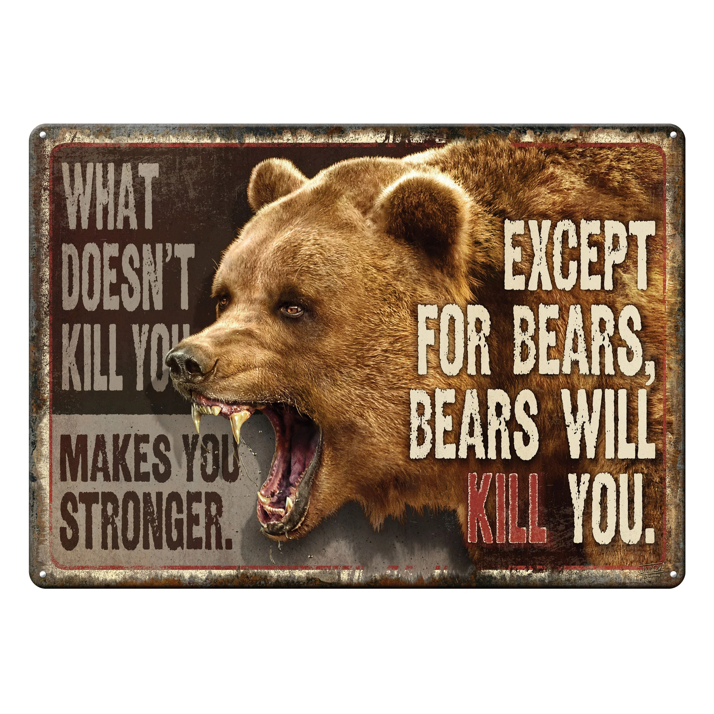 Tin Sign 12in x 17in-What Doesnt Kill You - Image 1