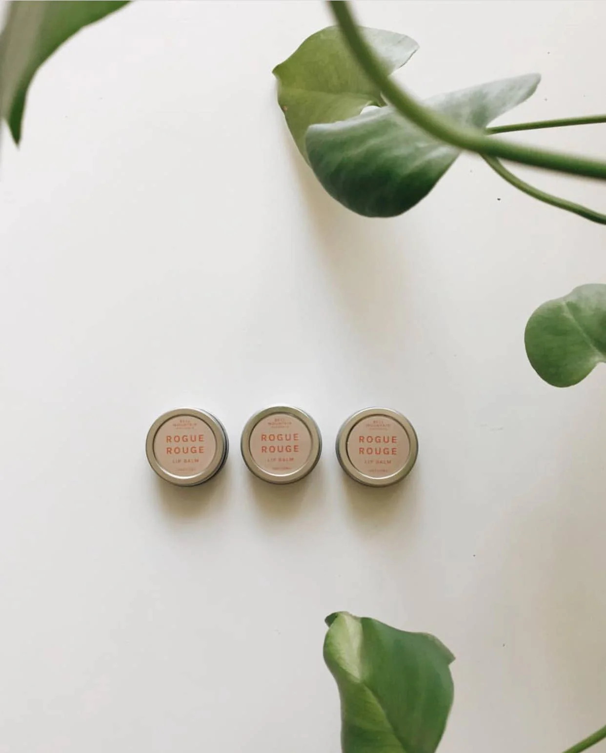 Rogue Rouge Rose Lip Balm. Eco friendly, low waste. All natu - Image 1