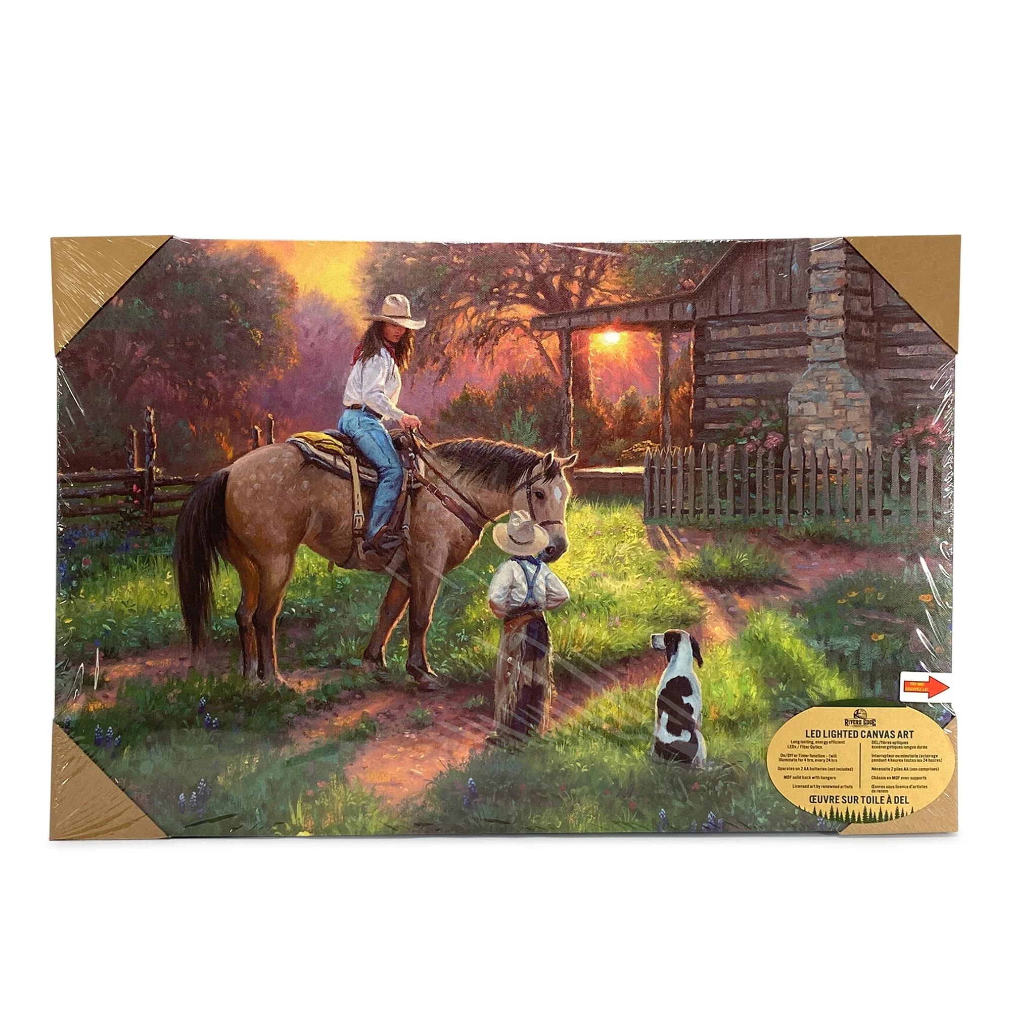 LED Art 24in x 16in-Woman on Horse - Image 2