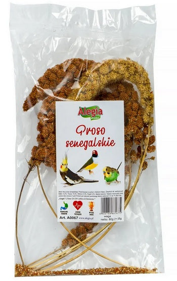 Alegia Proso senegalskie 80 g – naturalne kłosy do skubania