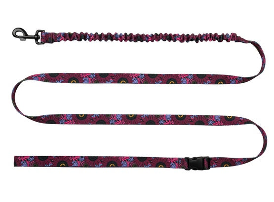 CHABA Smycz z amortyzatorem do biegania Story III L 25mm/280cm Lakota - Image 1
