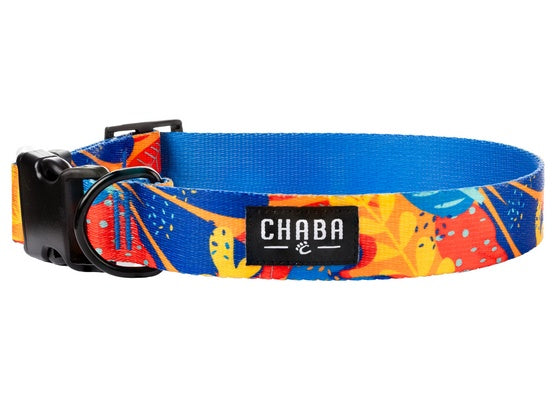 CHABA Obroża regulowana Story III XL Aussie - Image 1