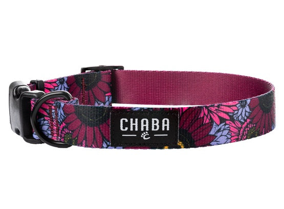 CHABA Obroża regulowana Story III L Lakota - Image 1
