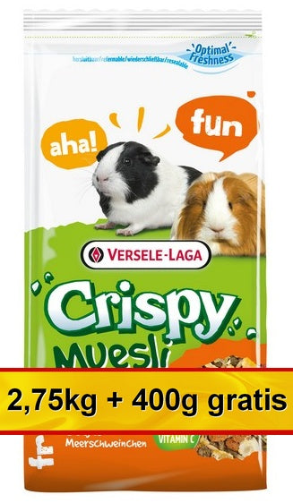 Versele-Laga Crispy Muesli Guinea Pig – pokarm dla świnki morskiej 3,15kg (2,75+0,4kg gratis)