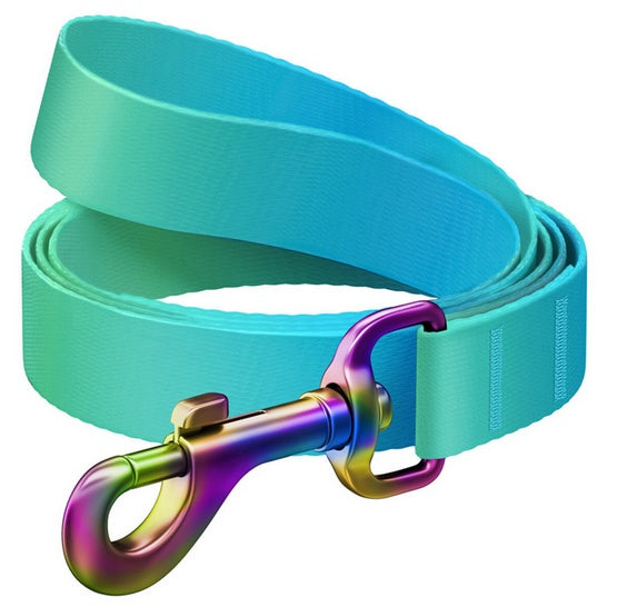 Smycz Collar WauDog Recycled gradient – z taśmy R-PET 20 mm