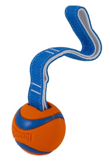 Chuckit! Ultra Tug Medium [231201] - Image 2
