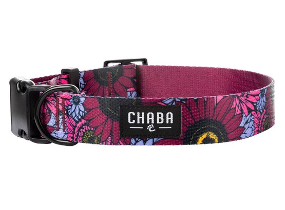 CHABA Obroża regulowana Story III XL Lakota - Image 1