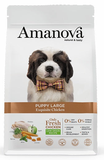 Amanova dog puppy large exquisite chicken – only fresh świeży kurczak dla szczeniąt dużych ras 12 kg