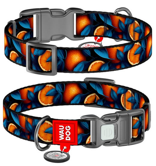 obroża Collar WAUDOG Nylon - QR-paszport i wzór Pomarańcze - Image 1