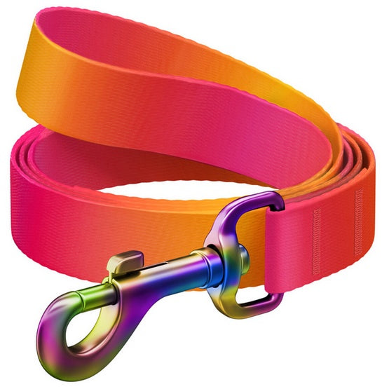 smycz Collar WauDog Recycled gradient – z taśmy R-PET z recyklingu