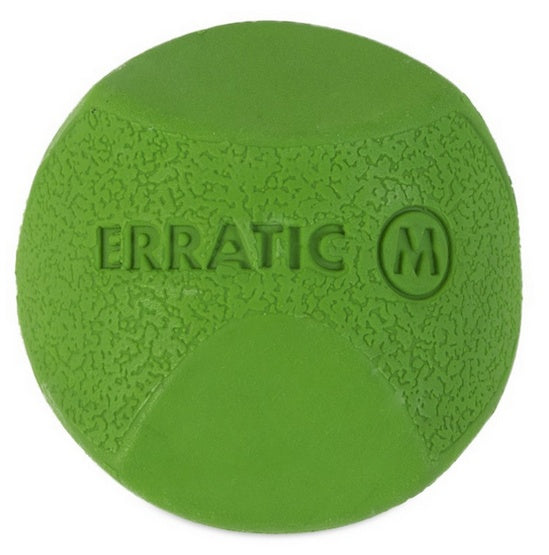 Chuckit! Erratic Ball Medium [201101] - Image 2