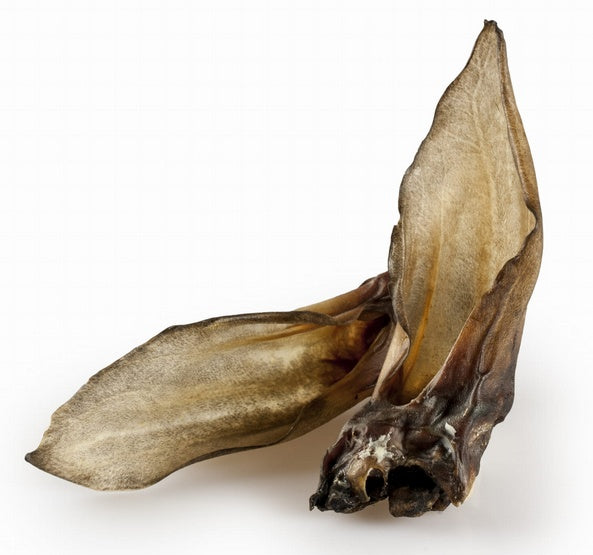 Balto Ucho sarny 5szt - Image 1