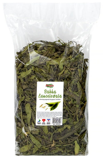 Alegia babka lancetowata 300 g - naturalne wsparcie dróg oddechowych i trawienia - Image 1