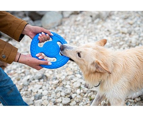 Kiwi Walker Let's Play Frisbee Maxi niebieskie - Image 3