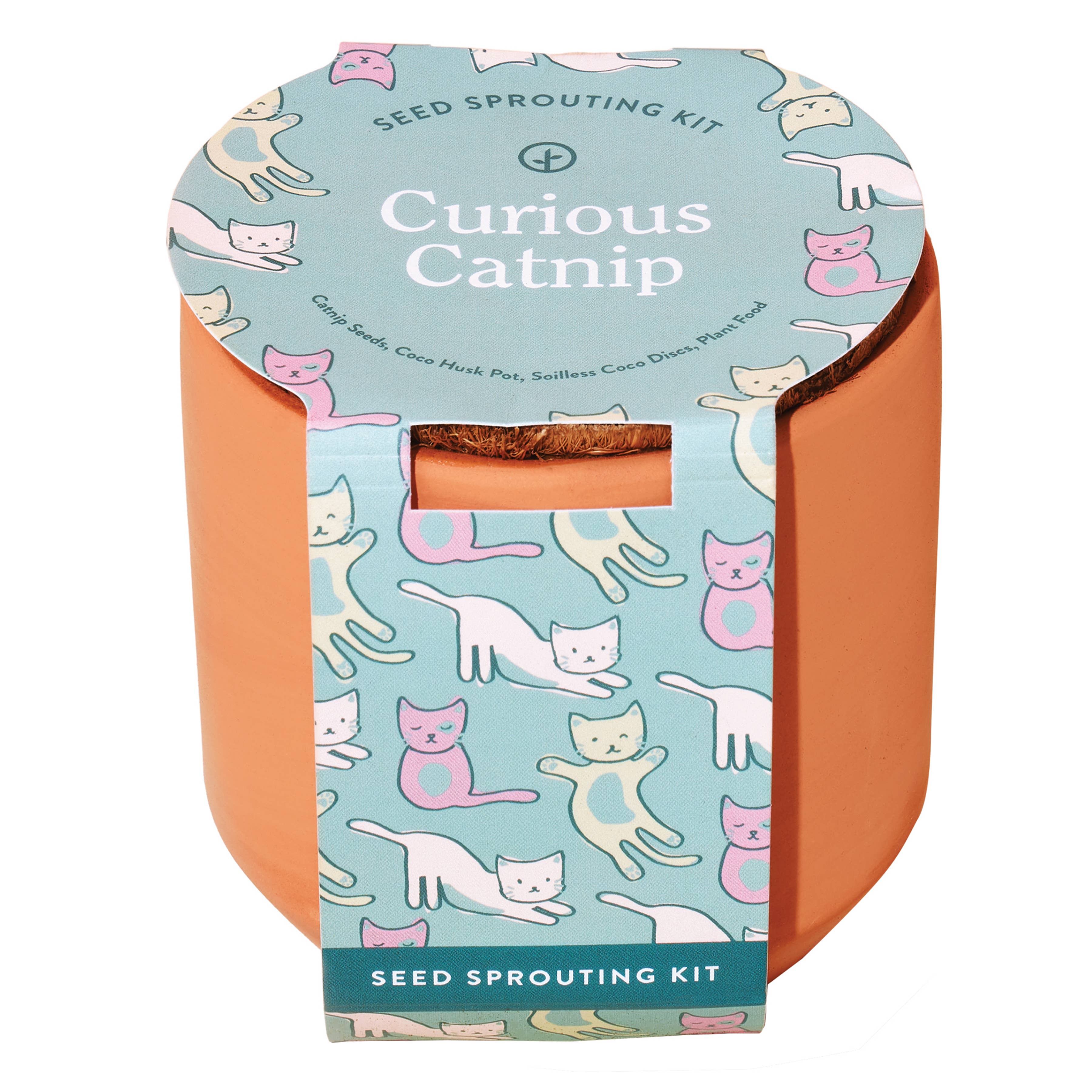 Tiny Terracotta Pet Grow Kits - Image 2