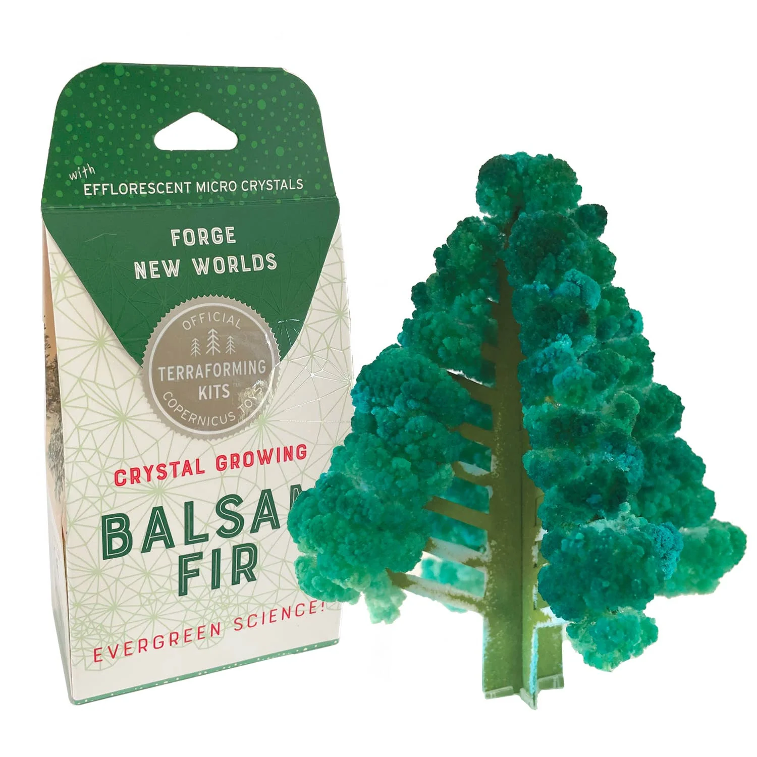 Crystal Growing Balsam Fir - Image 1