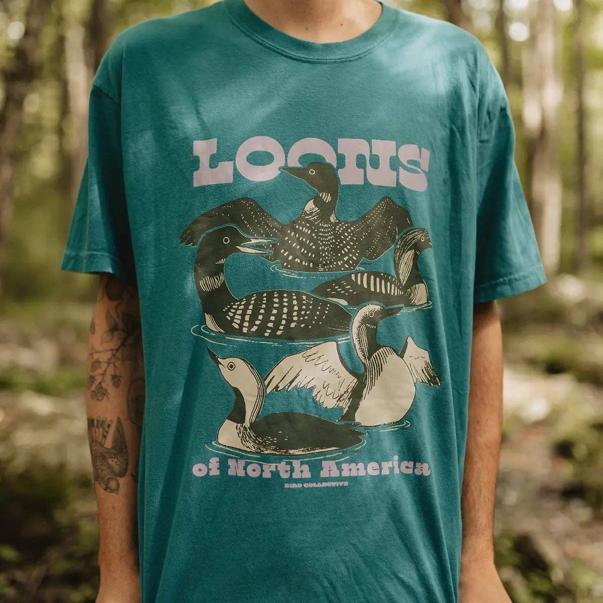 Loons of North America T-Shirt - Image 3