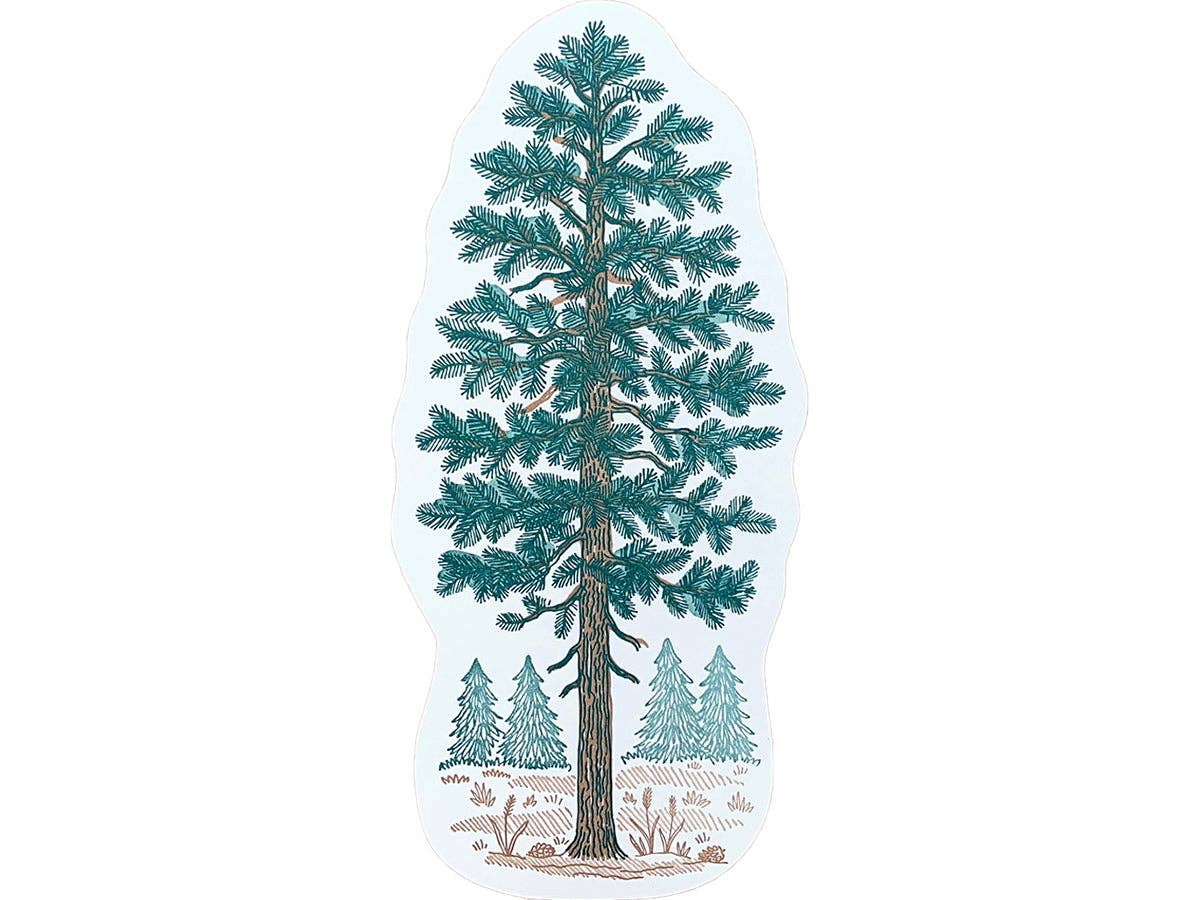 Pine Tree Postcard - Image 1