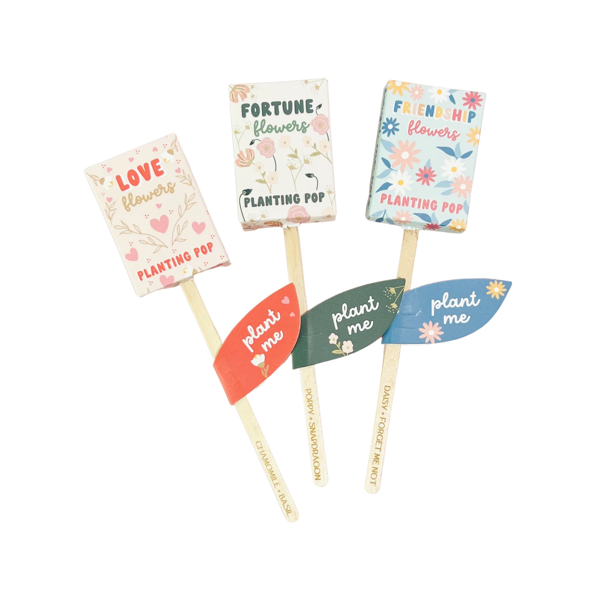 Fortune Flowers Garden + Gift Seed Planting Pop - Image 3