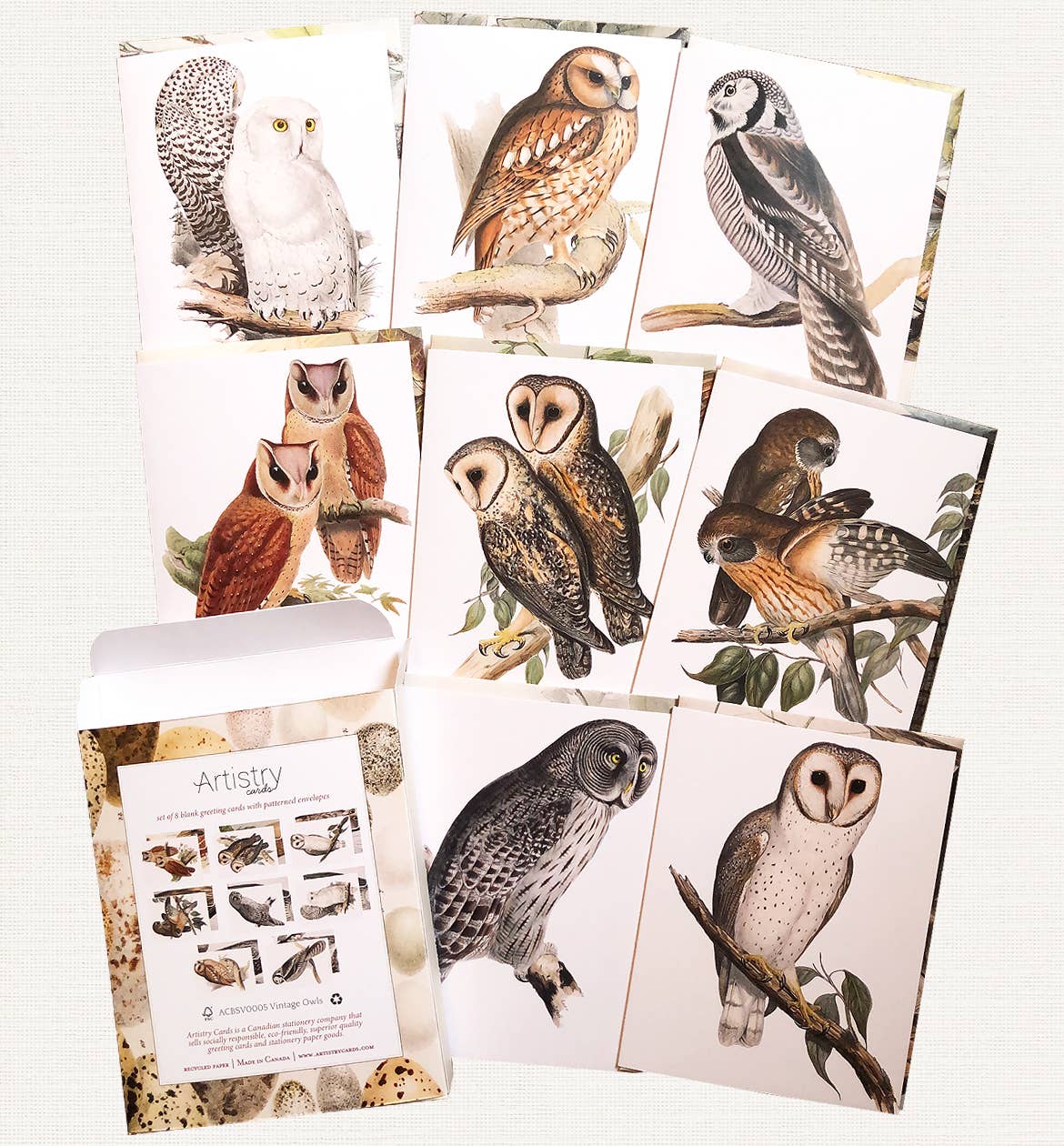 Boxed Set of 8 Vintage Owl Greeting Cards - Image 1