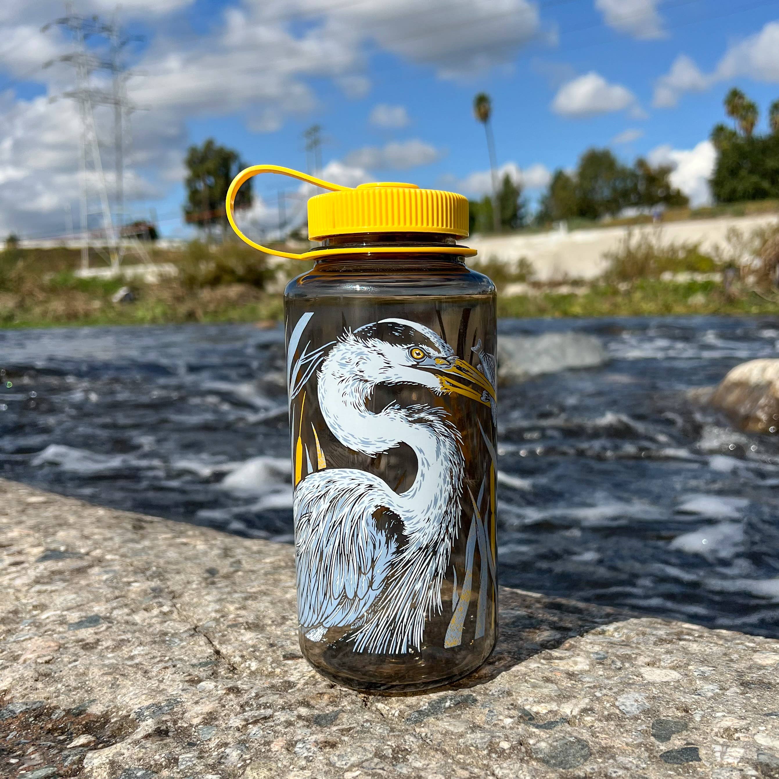 Pasadena Audubon Nalgene: LA River - Image 1