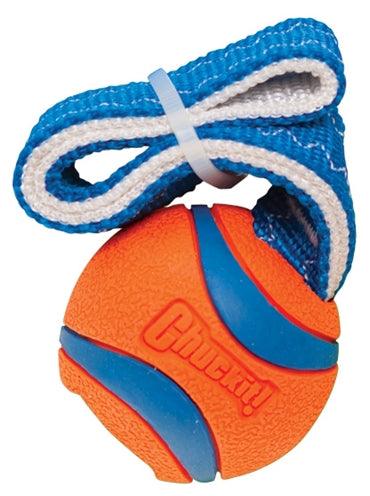 Chuckit Ultra Tug – Durable Fetch and Pull Toy - Image 3