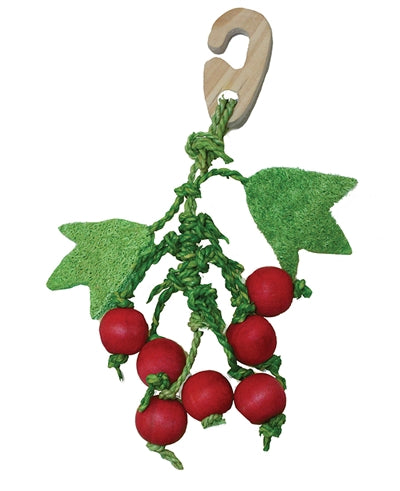 Critter’s Choice Happy Pet Nibbler Bunch of Berries