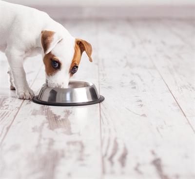 Happy Pet Non-Slip Food Bowl Spaniel - Image 2