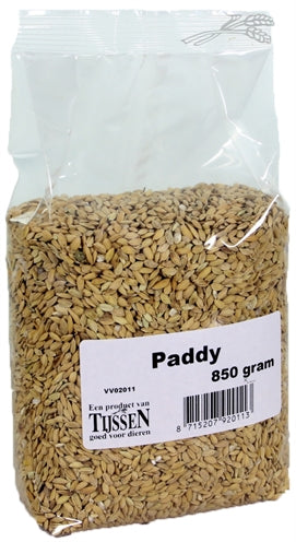 Unbranded Paddy