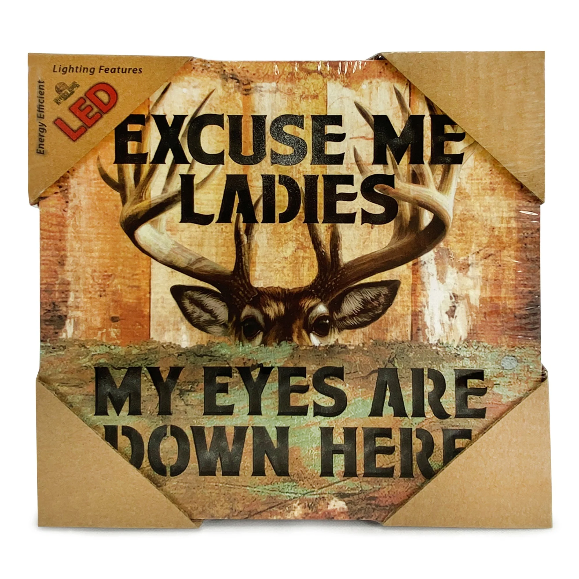 LED Box 6in x 6in-Excuse Me Ladies - Image 3