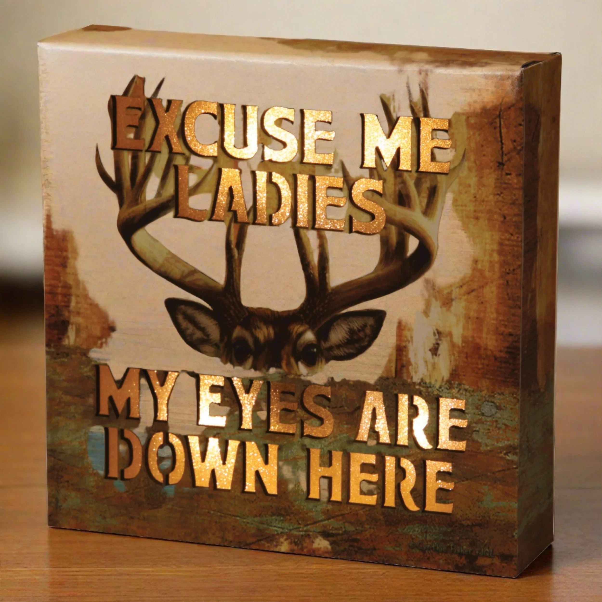 LED Box 6in x 6in-Excuse Me Ladies