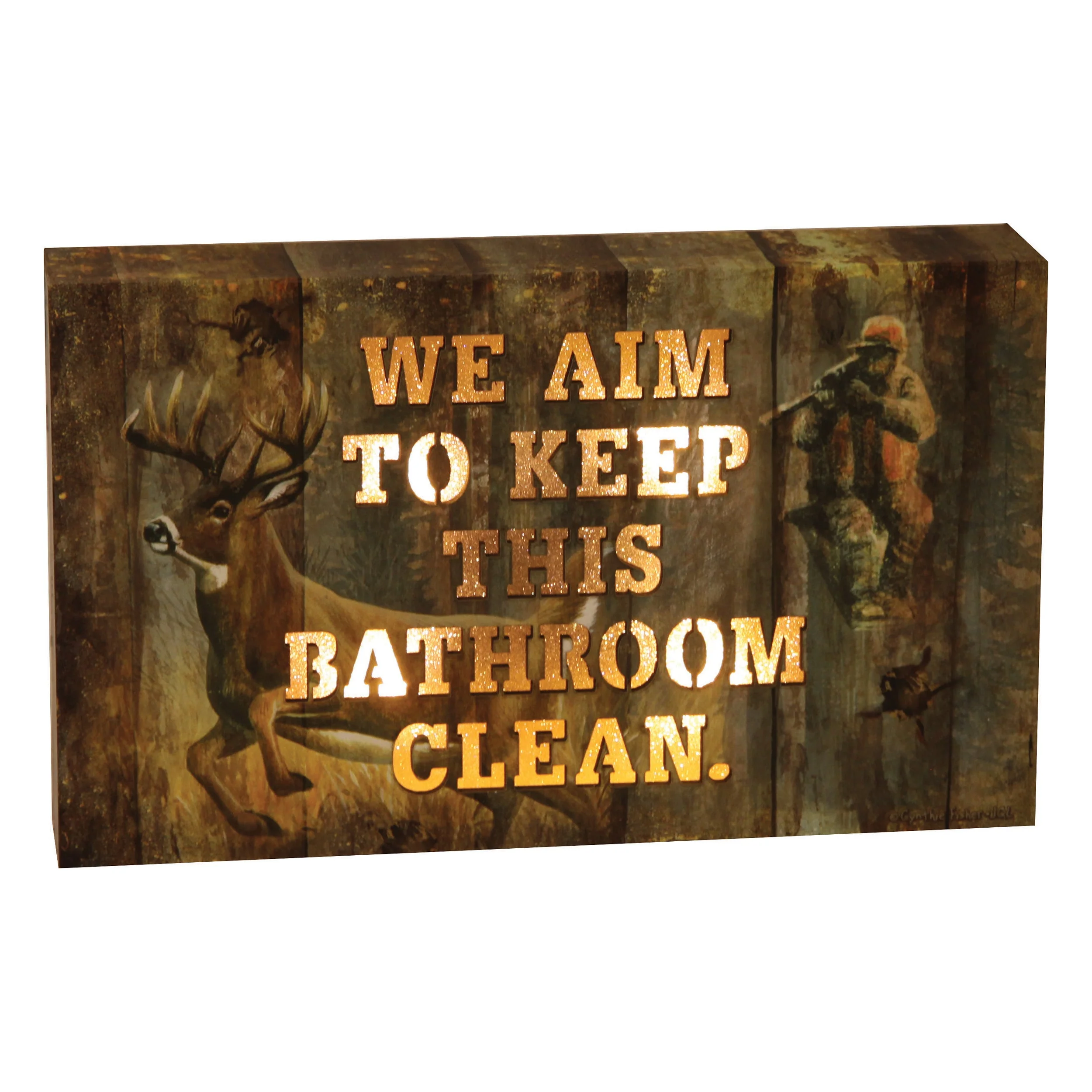 LED Box 8in x 5in-Aim to Keep