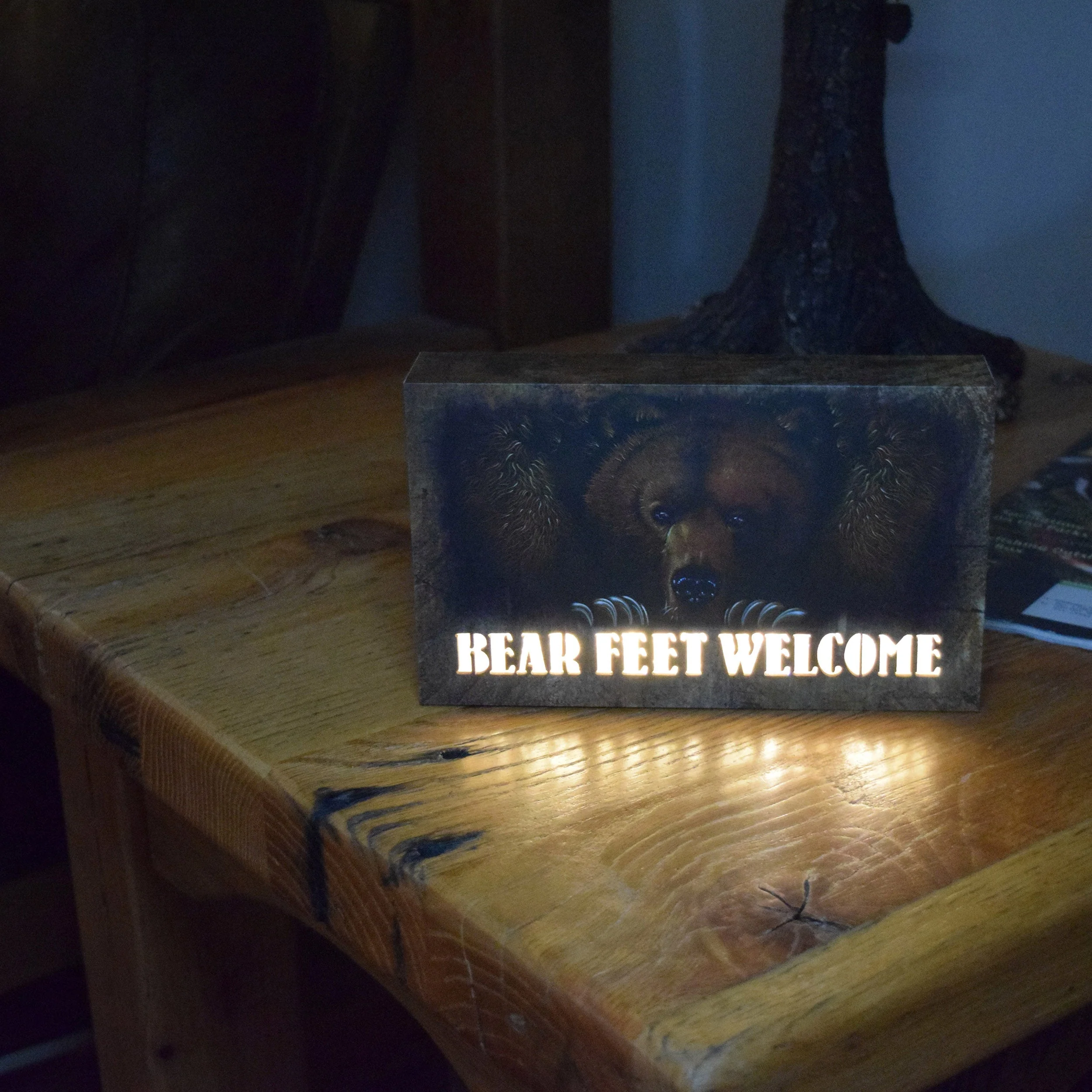LED Box 8in x 5in-Bear Feet - Image 3