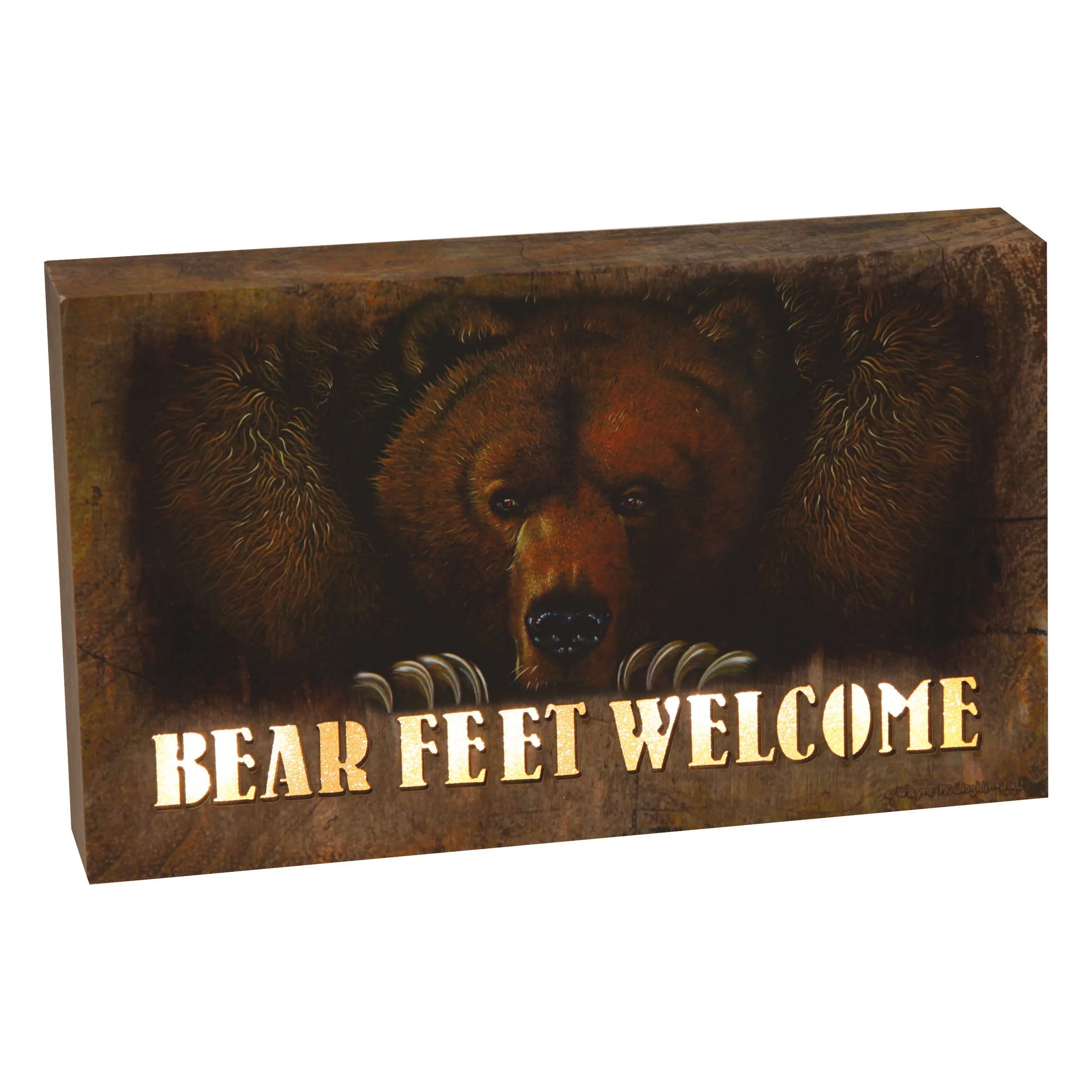 LED Box 8in x 5in-Bear Feet