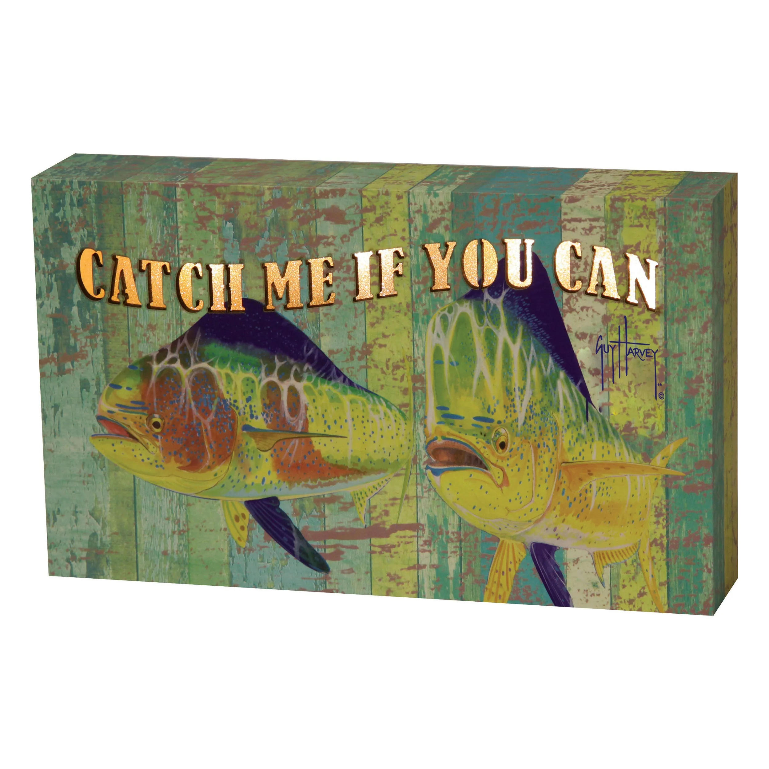 LED Box 8in x 5in-Catch Me