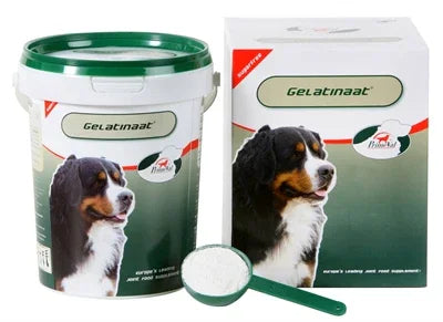 Primeval Gelatinized Dog Food